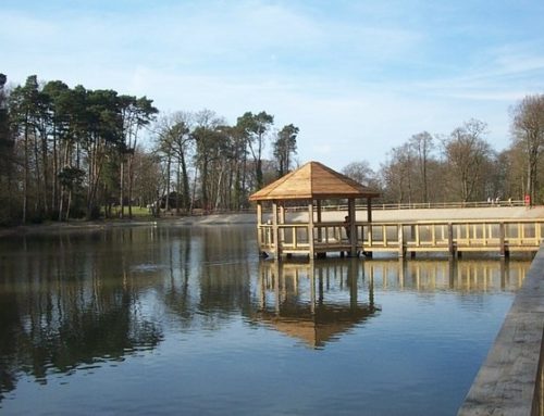 Wintery walks and parks to visit in Sussex and Surrey